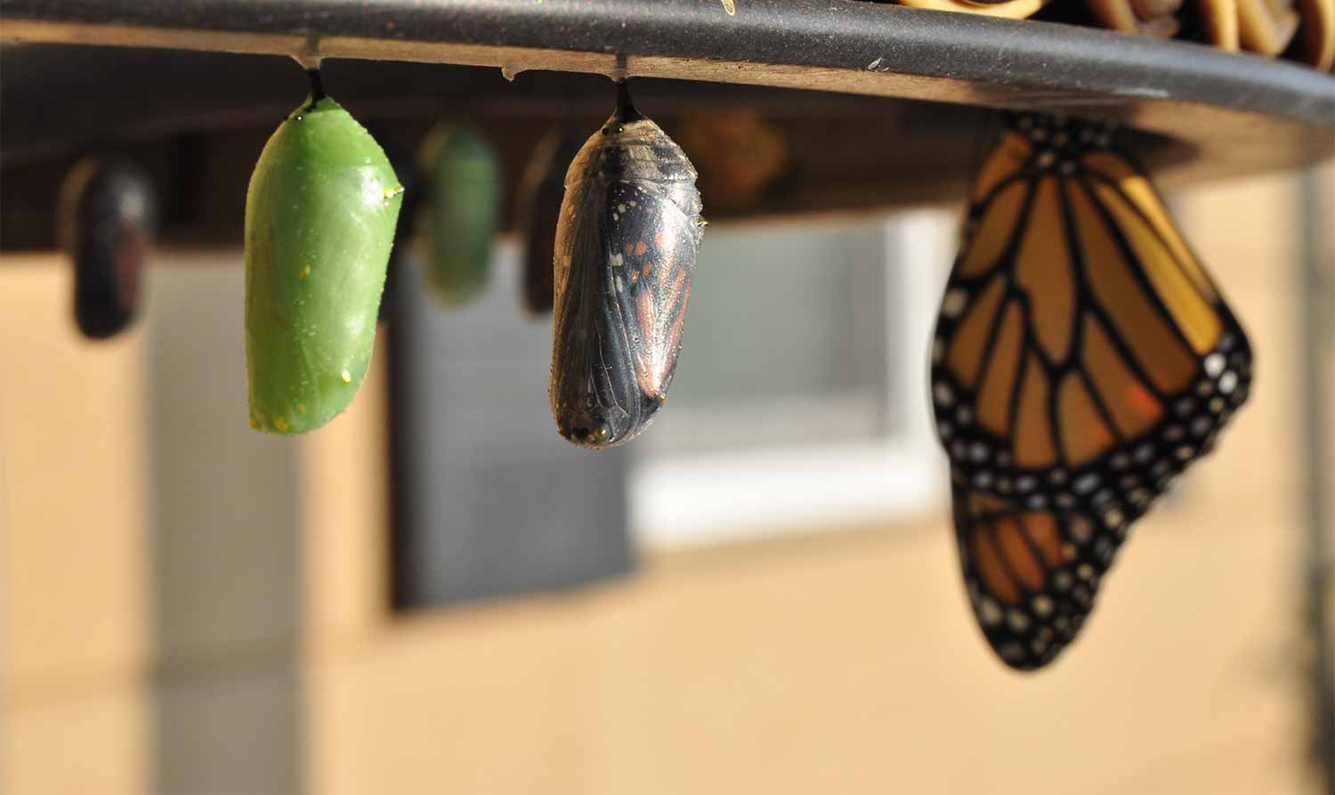 La transformación del marketing comienza por el poder transformador de las redes sociales