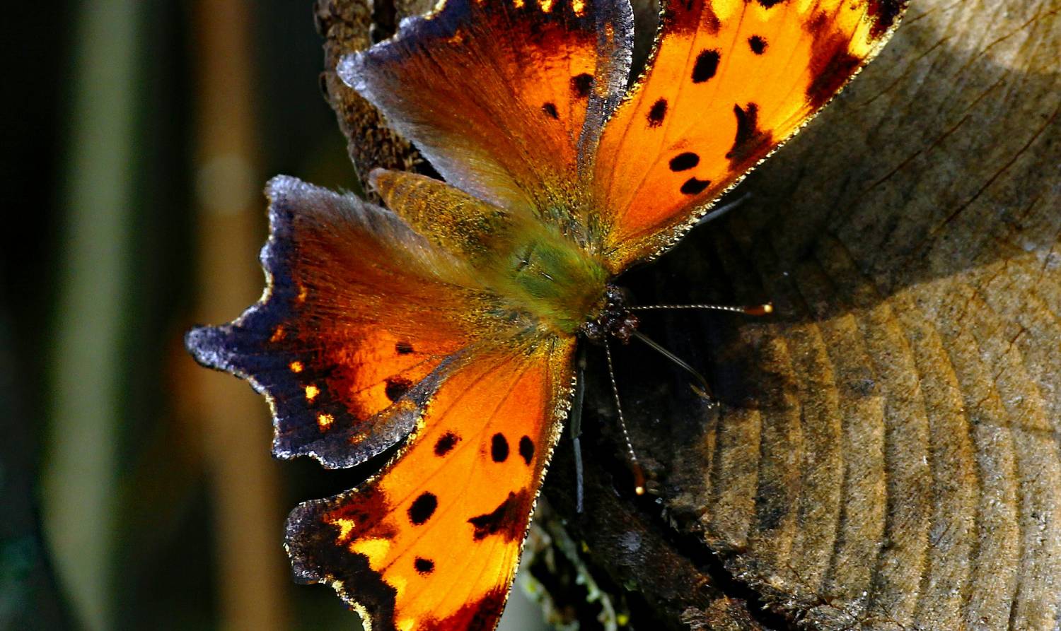 Cómo formar equipos comerciales: del vendedor agresivo al comercial consultor