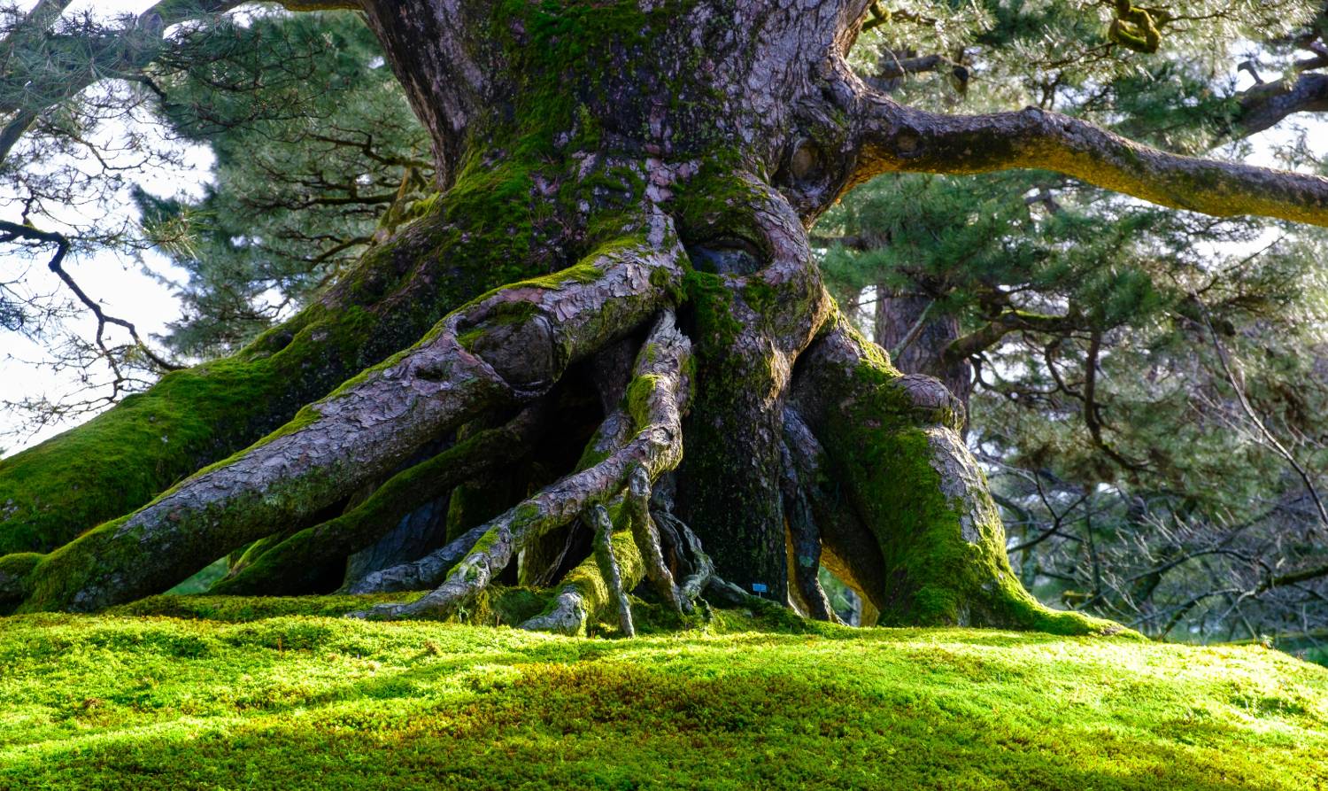 Largo plazo vs. corto plazo: el discurso que nadie cumple