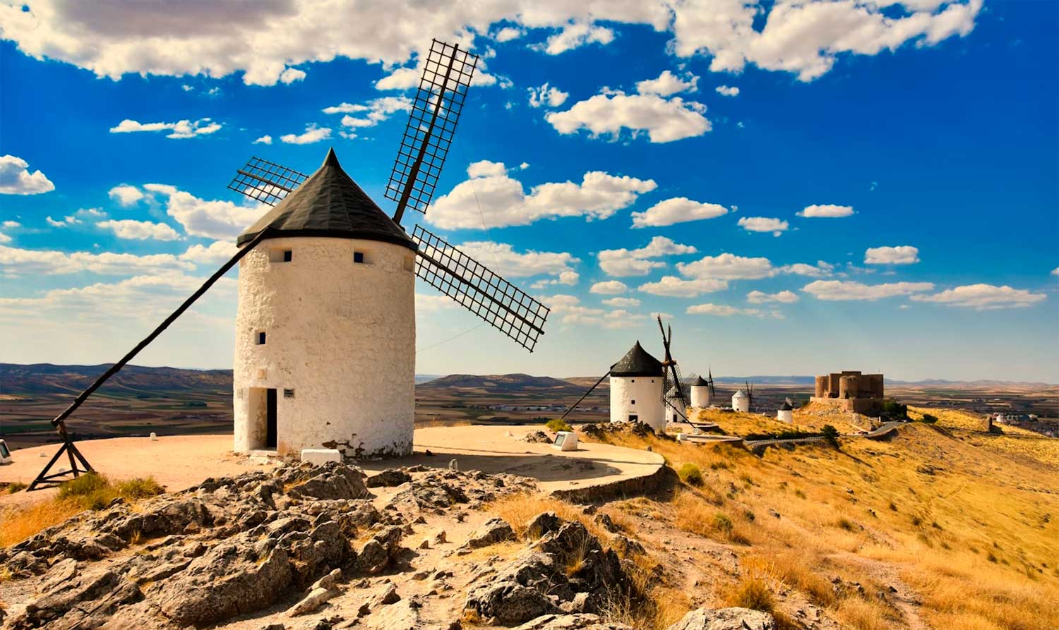 Director de Ventas para Empresa Familiar en Albacete: qué te está costando no tenerlo